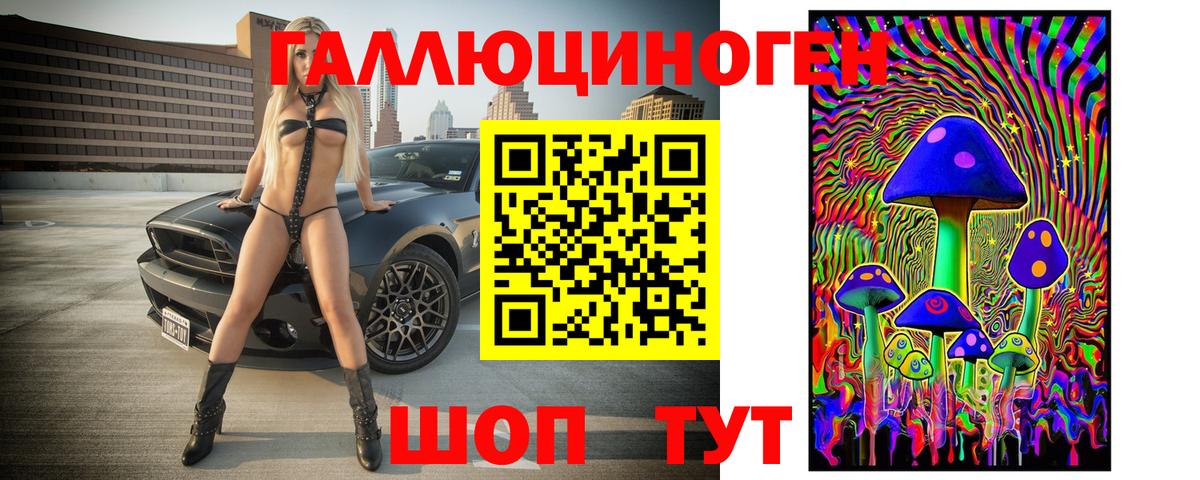 Псилоцибиновые грибы GOLDEN TEACHER Котовск