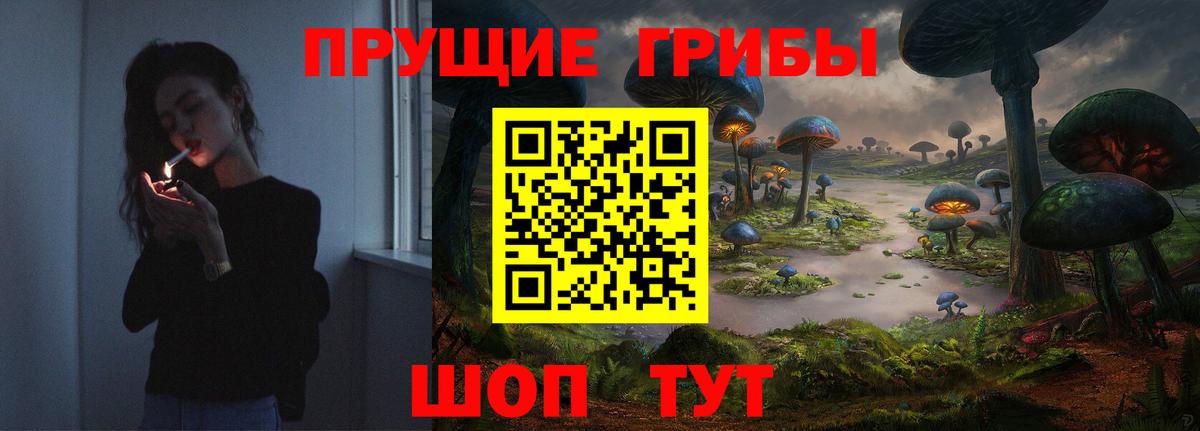Котовск  Псилоцибиновые грибы ЛСД  Псилоцибиновые грибы Psilocybe  Вход с VPN 